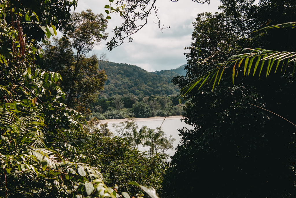 Aussicht vom Tanjung Sapi Trail im Bako Nationalpark auf Borneo