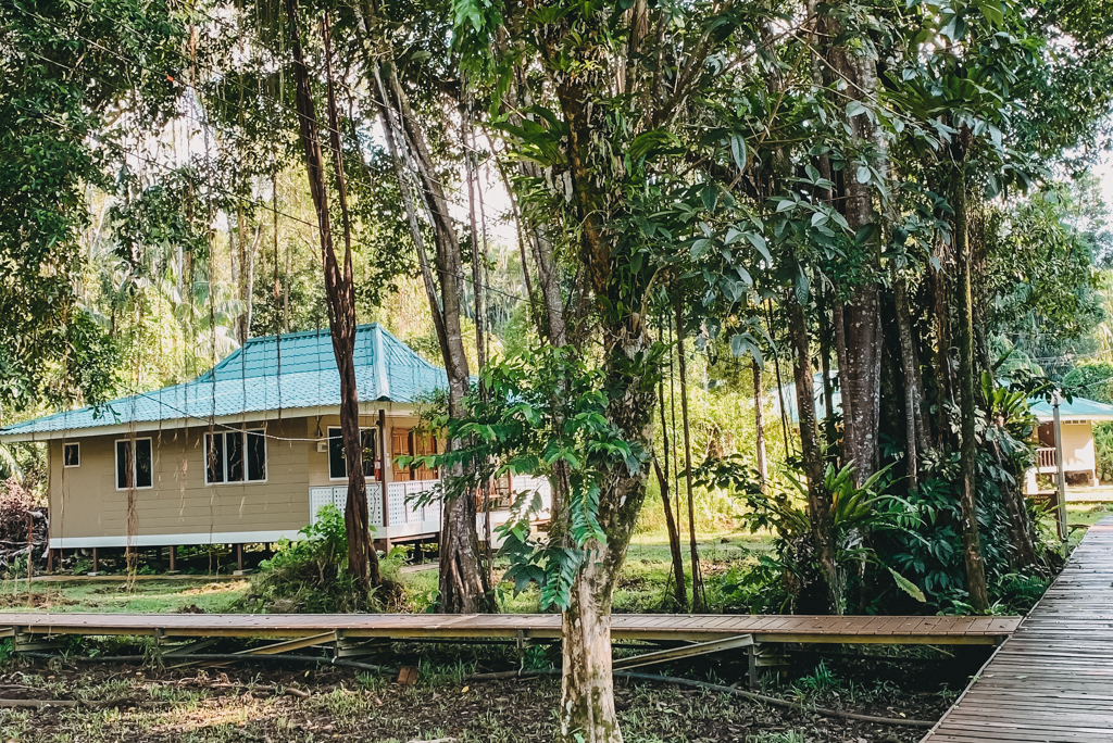 Unterkünfte zur Übernachtung im Bako Nationalpark auf Borneo